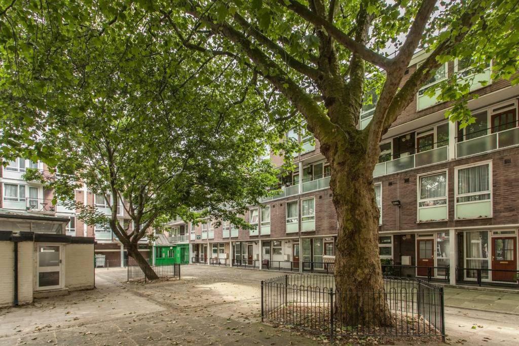 لندن Nice Apartment - Great Portland St, Regents Pk, Euston المظهر الخارجي الصورة